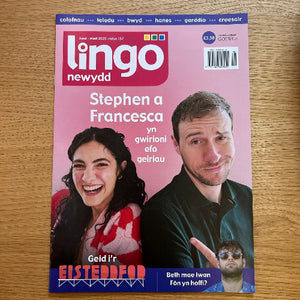 Magazine cover with two people on a pink background, featuring the brand 'lingo'.