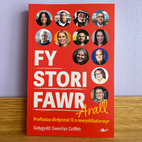 Fy Stori Fawr Arall
