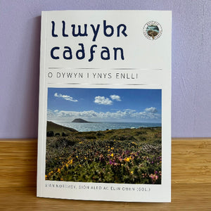 Book titled 'llwybr cadfan' with a scenic cover on a wooden surface and purple wall background