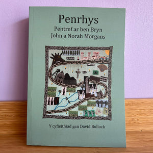 Book titled 'Penrhys' with a map illustration on a green background