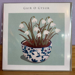 Card with a illustration of a floral pot and snowdrops on a light green background, branded 'Gair O Gysur'.