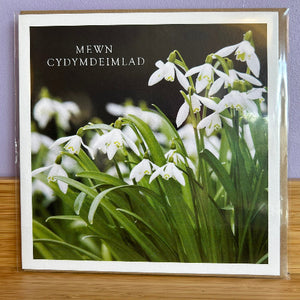 Greeting card with snowdrop flowers and text on a wooden surface