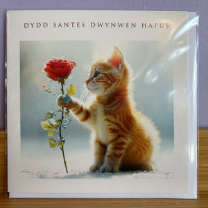 Cardiau Santes Dwynwen