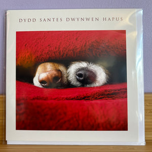 Cardiau Santes Dwynwen