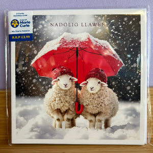 Card with two sheep under a red umbrella in the snow, featuring Marie Curie charity logo.