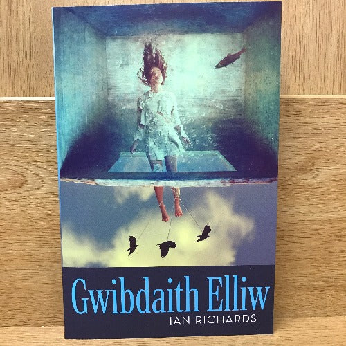 Gwibdaith Elliw - Ian Richards