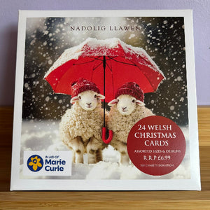 Packaging of 24 Welsh Christmas cards with two sheep under a red umbrella in the snow, featuring the Marie Curie charity logo.
