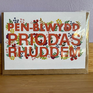 Pen-blwydd Priodas Rhuddem - Ruby wedding anniversary (40)