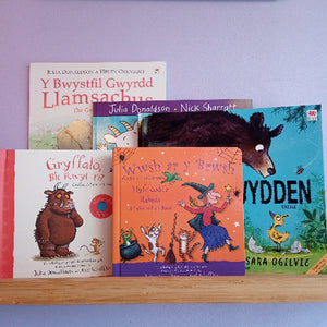 Collection of bilingual Julia Donaldson books on a wooden shelf with a purple wall background