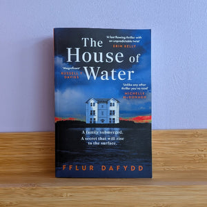 The House of Water - Fflur Dafydd