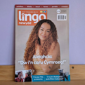 Lingo Newydd: Hydref - Tachwedd 2026