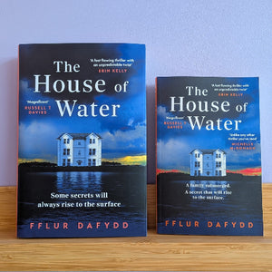 The House of Water - Fflur Dafydd