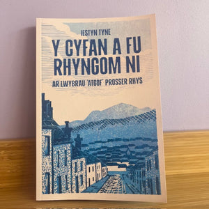 Y Cyfan a Fu Rhyngom Ni - Iestyn Tyne