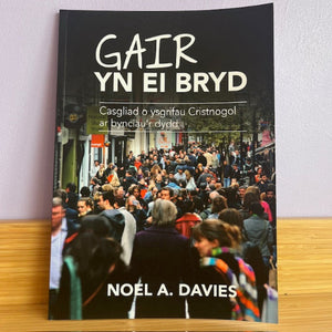 Book titled 'Gair Yn El Bryd' by Noel A. Davies on a wooden surface with a light purple wall background.