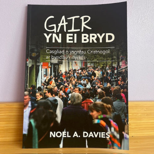 Gair yn ei Bryd - Noel A Davies
