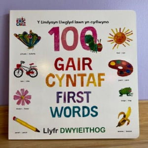 100 Gair Cyntaf Y Lindysyn Llwglyd Iawn