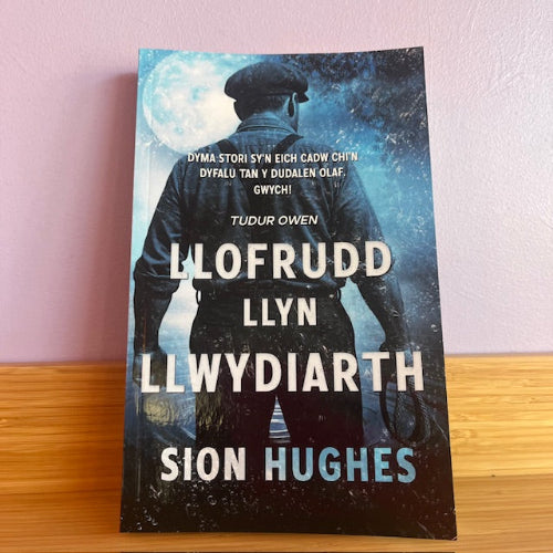 Llofrudd Llyn Llwydiarth - Sion Hughes