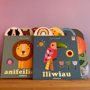 Children's books titled 'animals' and 'colours' on a wooden surface with a pink background