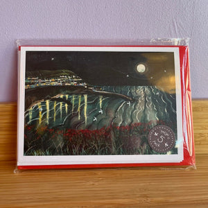 Packaged artwork of a night scene with a full moon, stars, and a landscape.