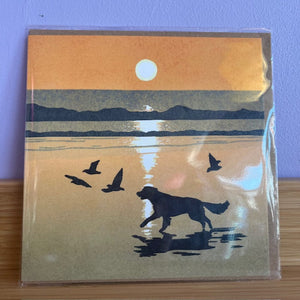 Packaged product with a scenic design of a dog and birds on a beach at sunset.