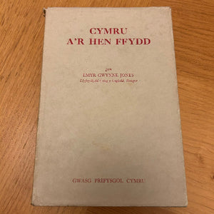 Beirniadaeth Lenyddol / Literary Criticism  A-F