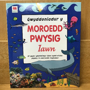 Gwyddoniadur y Moroedd Pwysig iawn