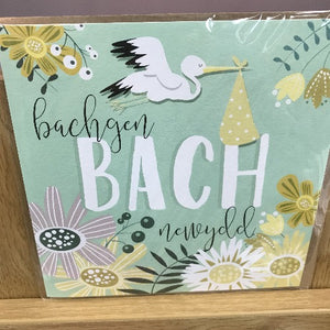 Bachgen bach - Baby boy (cardiau mawr)