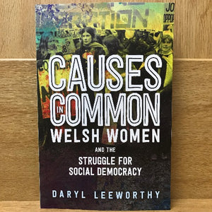 Causes in Common: Welsh Women and the Struggle for Social Democracy - Daryl Leeworthy