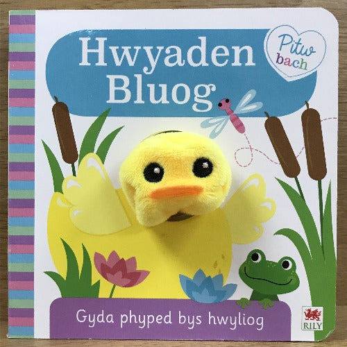 Pitw bach: Hwyaden Bluog