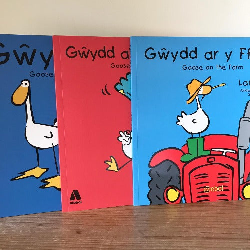 Gŵydd