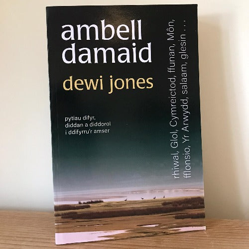 Ambell Damaid - Dewi Jones