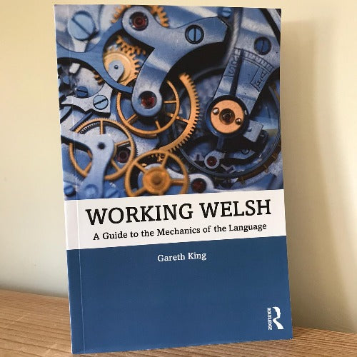 Working Welsh: A Guide to the Mechanics of the Language - Gareth King