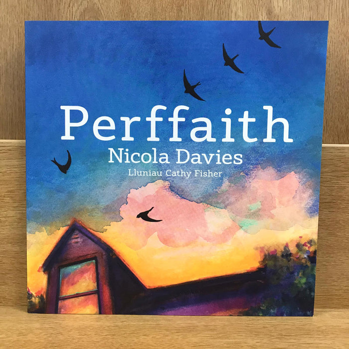 Perffaith - Nicola Davies