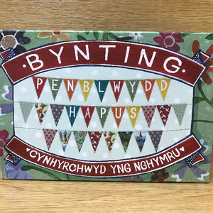 Byntin Gwyrdd: Penblwydd Hapus - Bunting