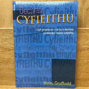 Dechrau Cyfieithu - Heini Gruffudd