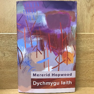 Dychmygu Iaith - Mererid Hopwood