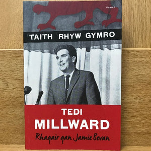 Taith Rhyw Gymro - Tedi Millward