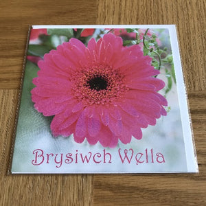 Brysia wella - Get well soon  (Cardiau bach/Smaller cards)