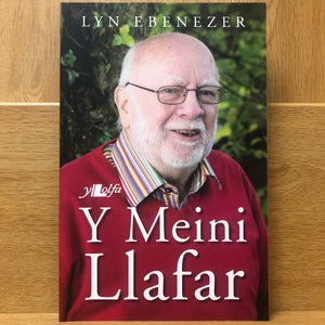 Y Meini Llafar - Lyn Ebenezer