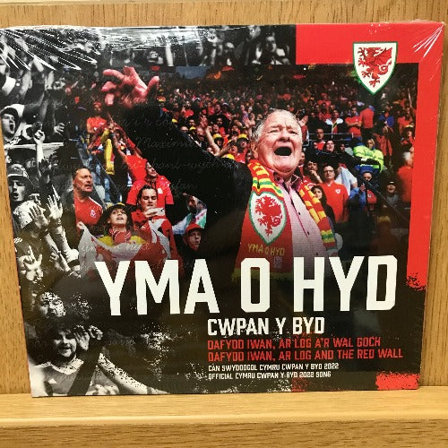Dafydd Iwan Yma o Hyd Cwpan y Byd