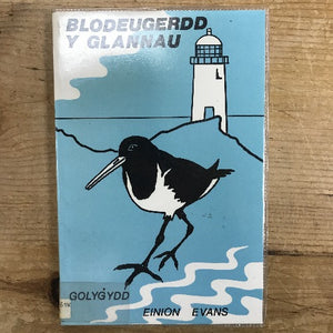 Blodeugerddi Bröydd - Anthologies by Area