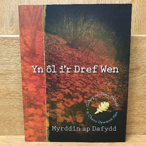 Myrddin ap Dafydd