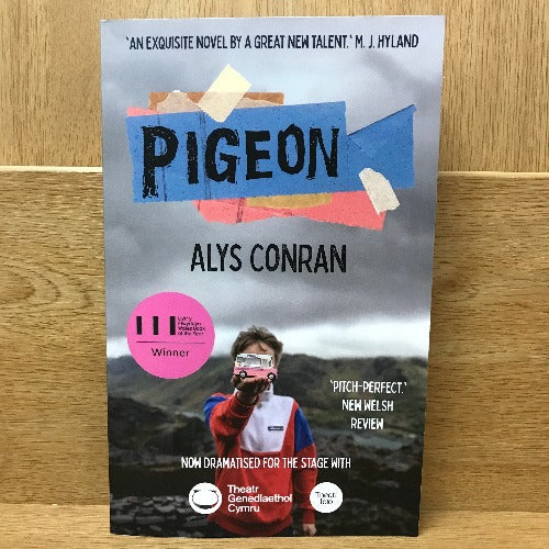 Pigeon - Alys Conran