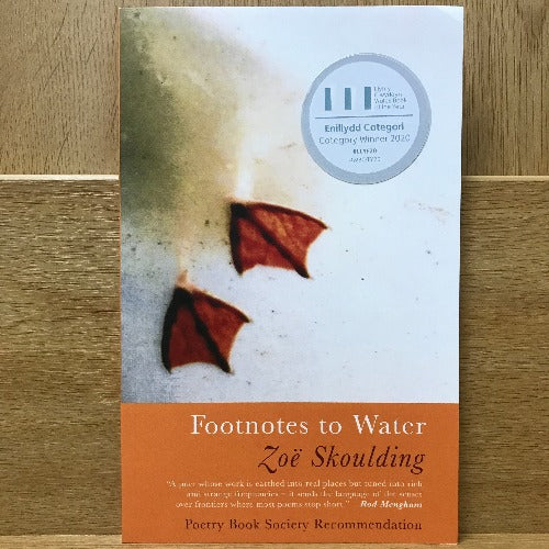 Footnotes to Water - Zoë Skoulding