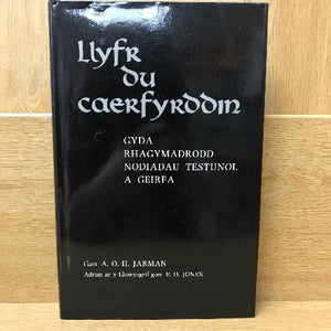 Beirniadaeth Lenyddol / Literary Criticism Ff-S
