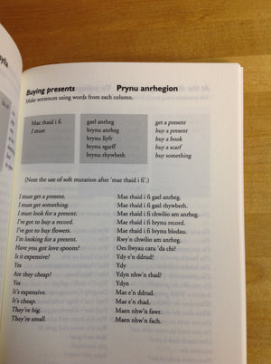 Learn Welsh: Phrasebook and Basic Grammar