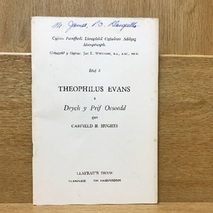 Beirniadaeth Lenyddol / Literary Criticism T-Y