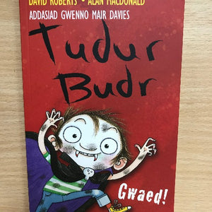 Tudur Budr  (7-9 oed)