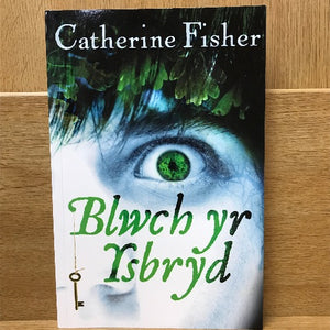 Blwch yr Ysbryd - Catherine Fisher
