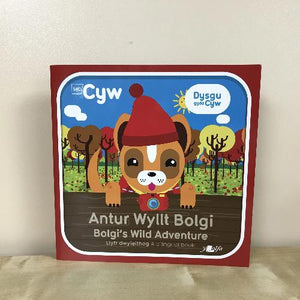 Cyw: Llyfrau Dwyieithog / Bilingual Series  (3-6 oed)